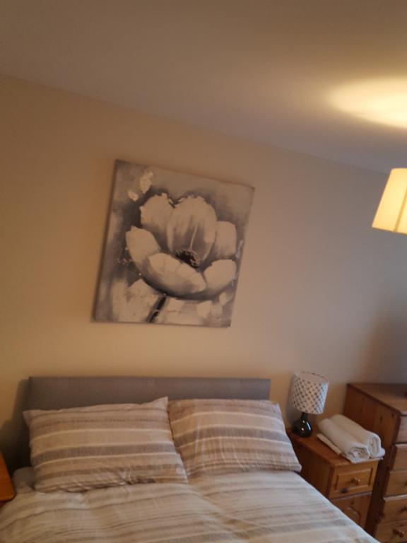 Apartment Castleton Gardens